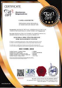 ISO-31000
